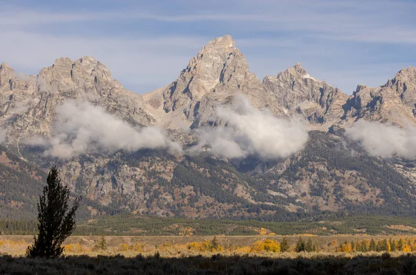 Grand Teton Ulusal Parkı Wyoming 'de sonbaharda manzaralı bir manzara.