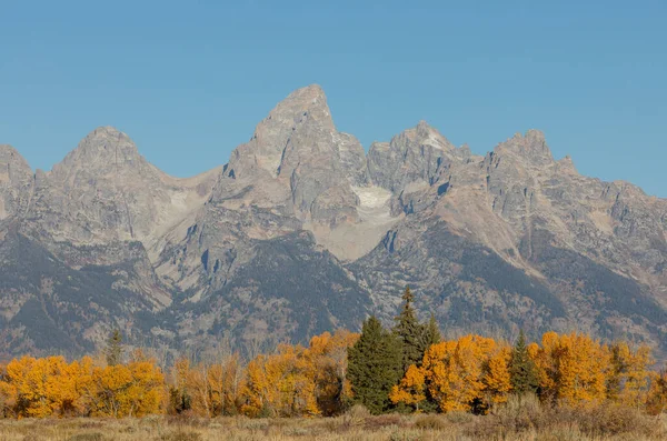 Grand Teton Ulusal Parkı Wyoming 'de sonbaharda manzaralı bir manzara.