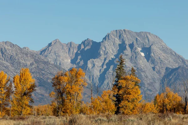 Uma Paisagem Cênica Grand Teton National Park Wyoming Outono — Fotografia de Stock