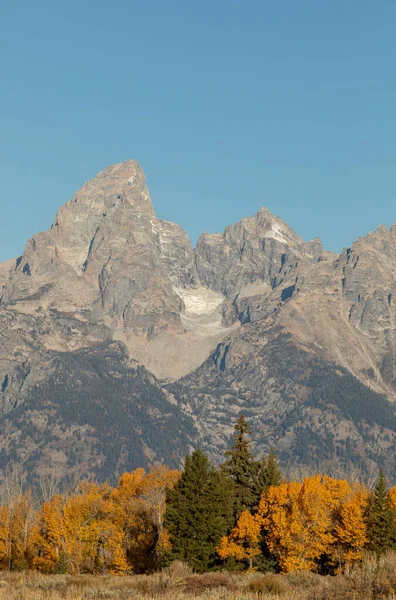 Grand Teton Ulusal Parkı Wyoming 'de sonbaharda manzaralı bir manzara.