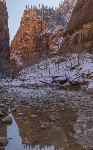 Uma Paisagem Inverno Cênica Parque Nacional Zion Utah — Fotografia de Stock