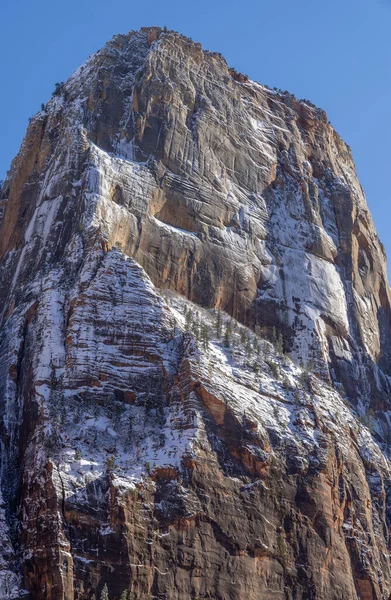 Utah Zion Ulusal Parkı 'nda manzaralı bir kış manzarası