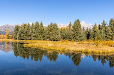 Grand Teton Ulusal Parkı Wyoming 'de sonbaharda manzaranın yansıması.