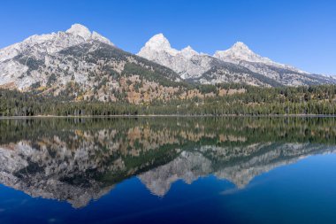 a scenic reflection landscape of the Tetons in Taggart Lake in autumn