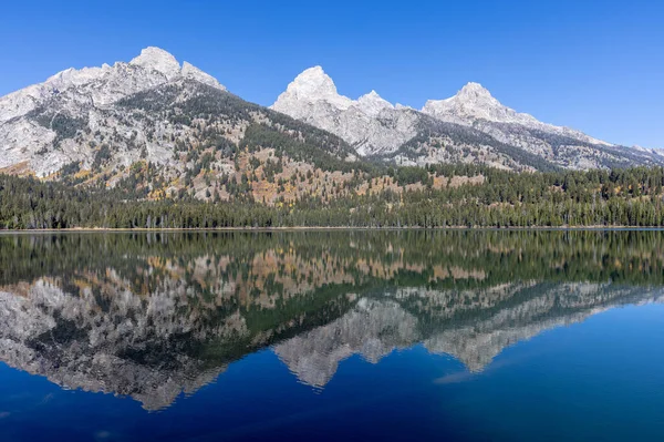 Scenic Reflection Landscape Tetons Taggart Lake Autumn — Φωτογραφία Αρχείου