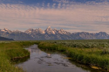 a scenic reflection landscape in the Tetons in summer