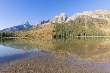 Grand Teton Ulusal Parkı Wyoming 'de sonbaharda manzaranın yansıması.