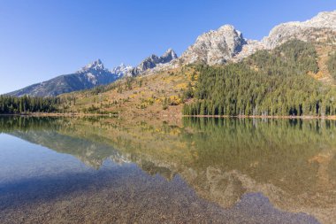Grand Teton Ulusal Parkı Wyoming 'de sonbaharda manzaranın yansıması.