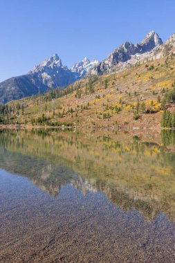Grand Teton Ulusal Parkı Wyoming 'de sonbaharda manzaranın yansıması.