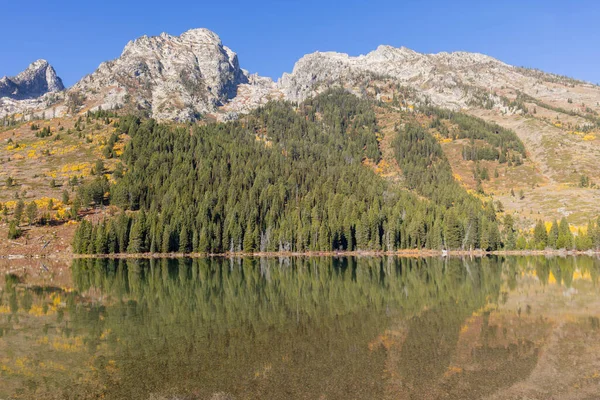 Malowniczy Krajobraz Odbicia Parku Narodowym Grand Teton Wyoming Jesienią — Zdjęcie stockowe