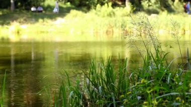 rezervuar yüzeyi ışığın Parlatıcı