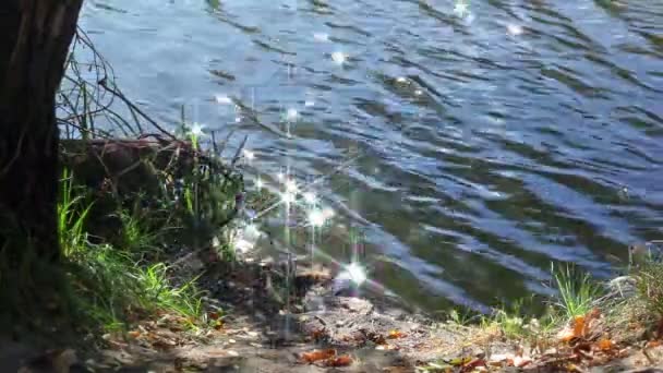 Reflejos solares en el agua — Vídeo de stock