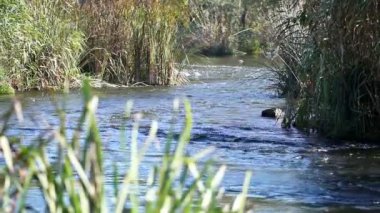 viraj ile yavaş su yolu