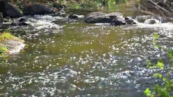 Obstakel in de rivier van stenen — Stockvideo