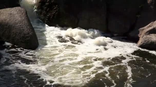 Der Fluss mit den großen Felsbrocken und dem Whirlpool. — Stockvideo