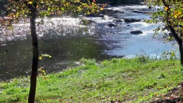 Floden med solar fläckar av ljus och gröna kusten — Stockvideo