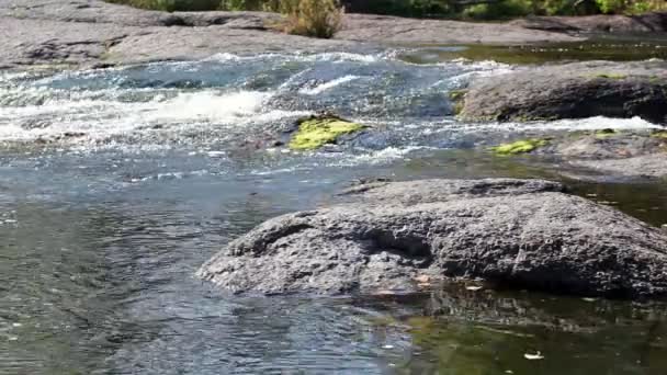 Site of the river with stones and movement of water with different speed — Stock Video