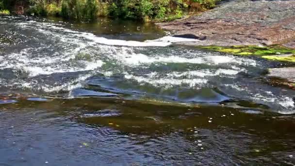 El río con un rompeolas y la costa rocosa — Vídeo de stock