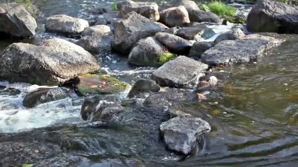 L'acqua del fiume scorre attraverso un mucchio di pietre . — Video Stock