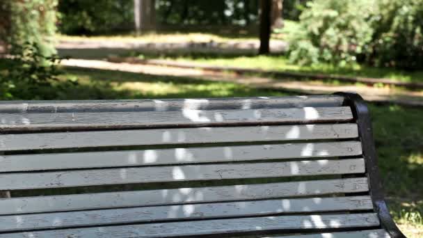 La fille s'assied sur un banc — Video