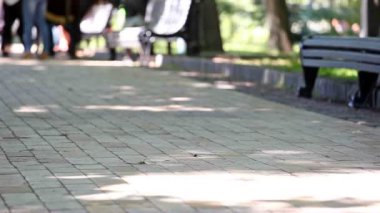 kadın pantolon bacaklarda cadde boyunca gitmek