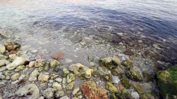 Seacoast s kameny a průzračná voda — Stock video