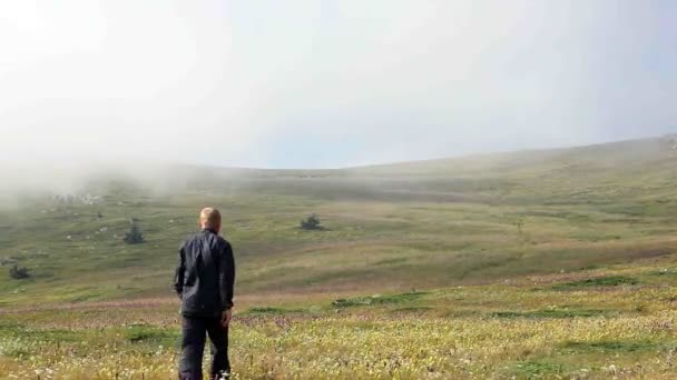 Geht der Mann fort, auf einem Gras im Nebel — Stockvideo