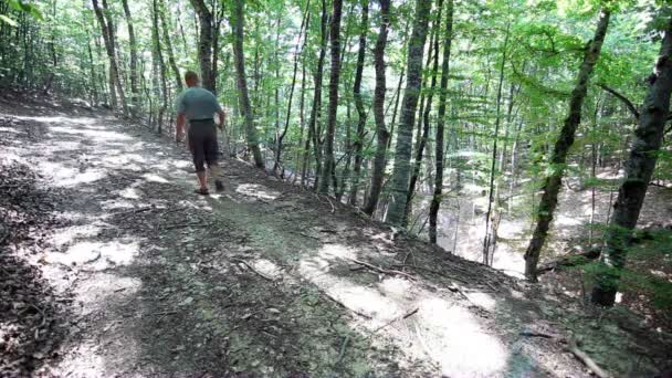 Der Mann mit dem Stock geht auf Holz und geht — Stockvideo