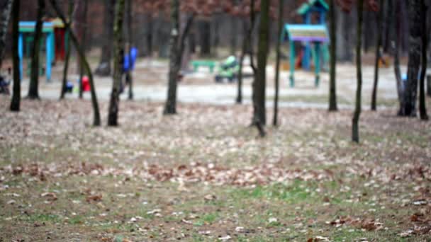Parque com um parque infantil em degradação. Outono — Vídeo de Stock