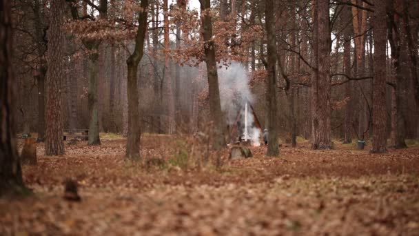 Bois d'automne et le garçon au loin avec un feu — Video