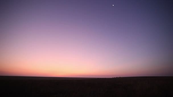 Dawn in steppe.Time lapse — Stock Video