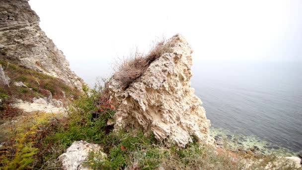 Roca separada con hojas y el mar — Vídeos de Stock