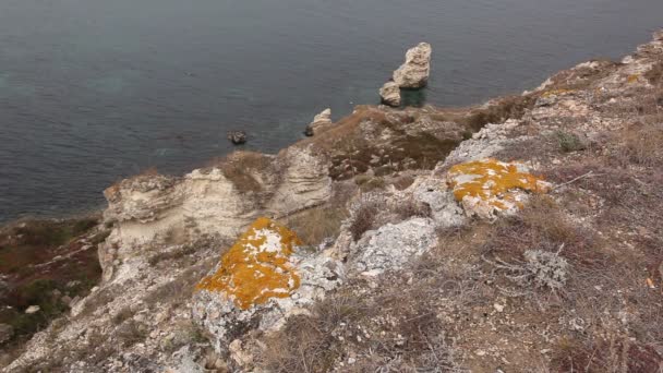 Παραθαλάσσια ζώνη με ανοικτόχρωμους λίθους — Αρχείο Βίντεο