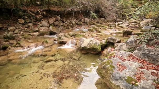 Réflexions eau transparente dans un ruisseau de bois 