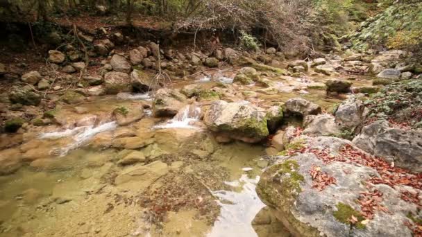 Διαφανή νερού αντανακλάσεις σε ένα ξύλο ρεύμα — Αρχείο Βίντεο