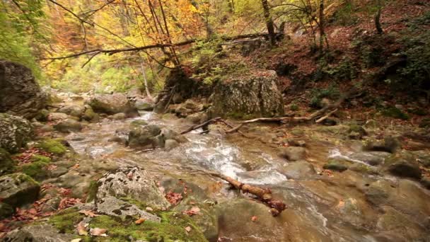De rivier berg met een liggende log — Stockvideo
