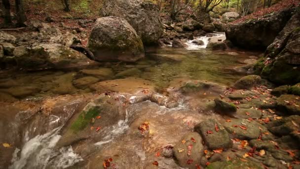 River, mountains, ravine, gorge, water, current, fast, foam, wood, trees , turn, yellow, autumn, earth, trunks, landscape, logs , fall, lie, cross, natural, boulders, stones — Stock Video