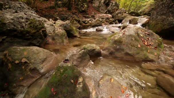 De rivier in de kloof met een snelle stroom. herfst. — Stockvideo