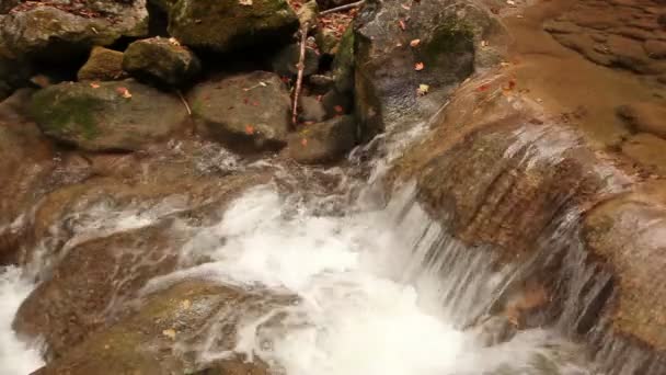 Small falls largely — Stock Video