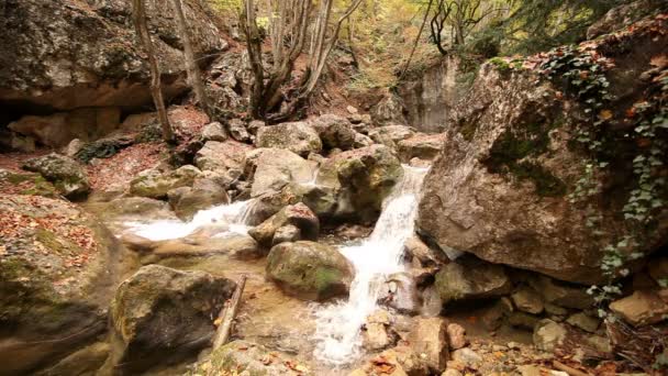 Río de montaña y piedra con una hiedra. Un paisaje — Vídeos de Stock