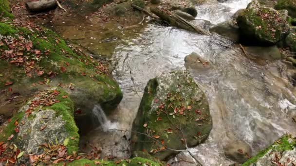Вода в реке, валуны, листья. Осень . — стоковое видео
