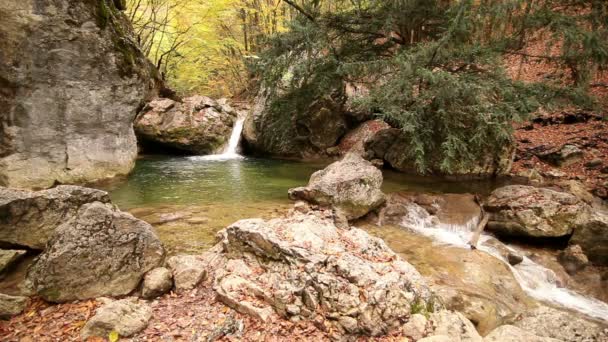 Pequeno lago de montanha com quedas — Vídeo de Stock