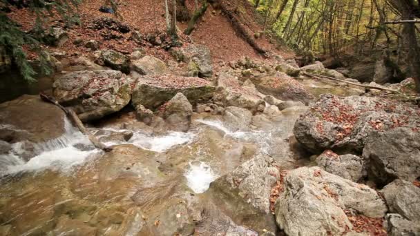 Sonbaharda dağ nehri — Stok video