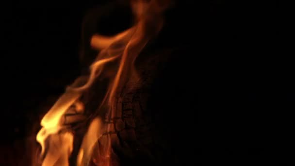 Fiamma nella notte che brucia un albero — Video Stock