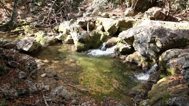 Canal de fluxo em uma rocha com fluxo de água e folhas — Vídeo de Stock