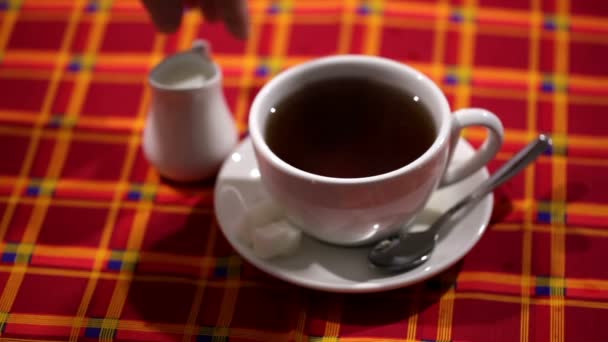 Taza de té con leche y rollos — Vídeos de Stock