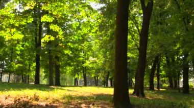 Yaz Bahçesi. Panorama