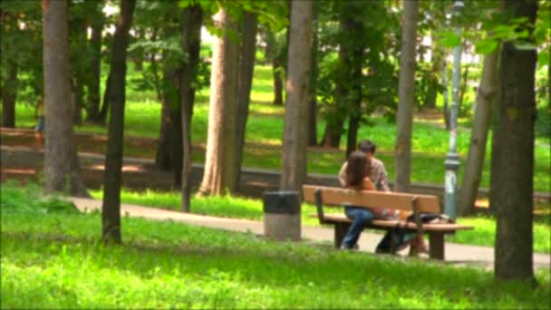 Silhouette del tipo e la ragazza su una panchina in parco — Video Stock