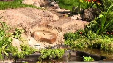 bir göl ile küçük bir bahçe. odak yaklaşım