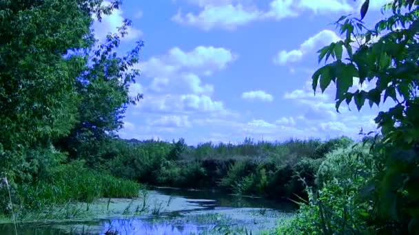 Flodlandskap med himlen. tidsinställd — Stockvideo